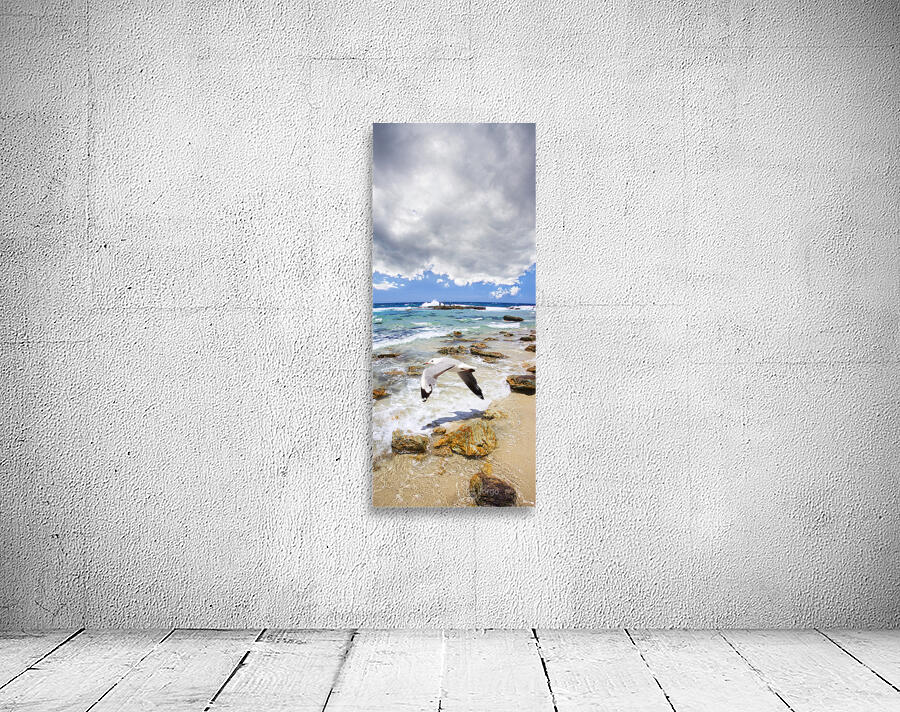 A Flight Of Hope Wall Preview