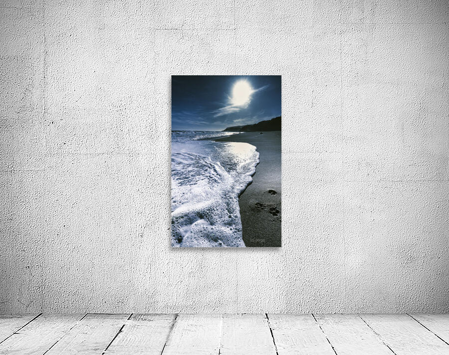 Blue moonlight beach landscape Wall Preview