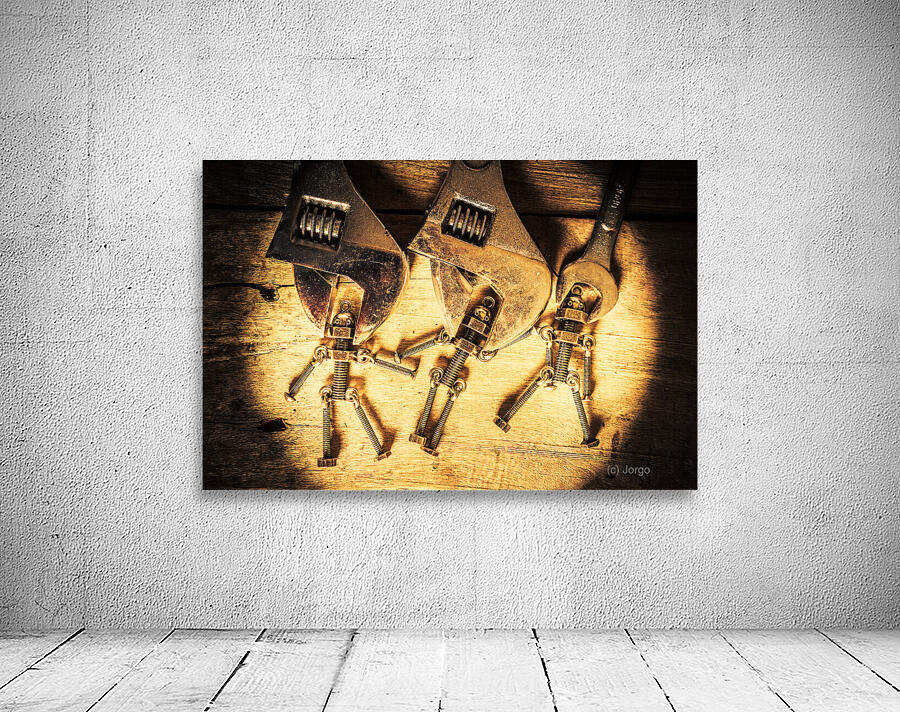 Reprogramming Centre Wall Preview