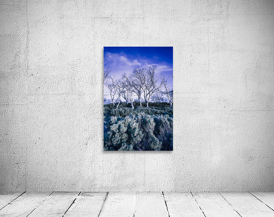 Halloween woodland Wall Preview