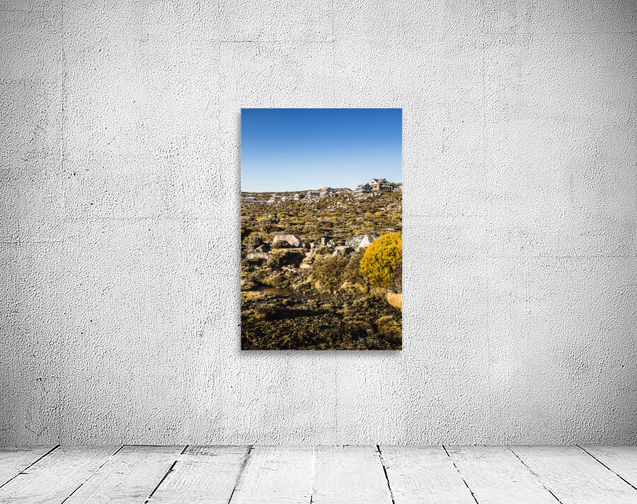 Rugged mountain town Wall Preview