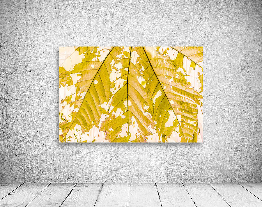 In fall Wall Preview