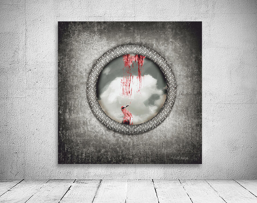 The gull who could no longer sea Wall Preview