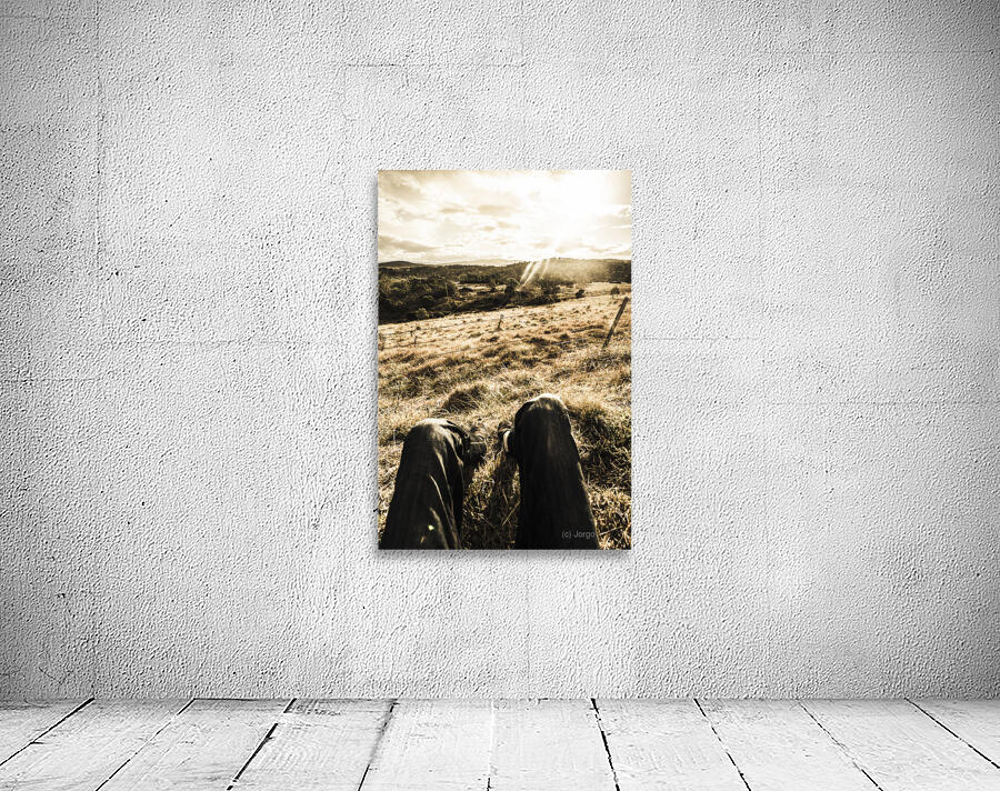 Australian adventurer on rural holiday Wall Preview