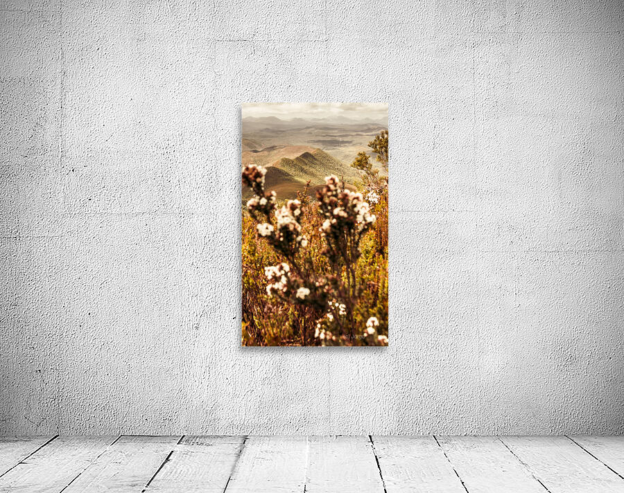 Wild west mountain view Wall Preview