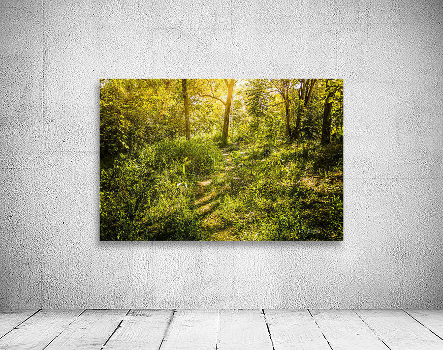 Wander Land  Wall Preview