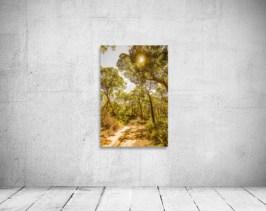 Amity Vl. Wall Preview