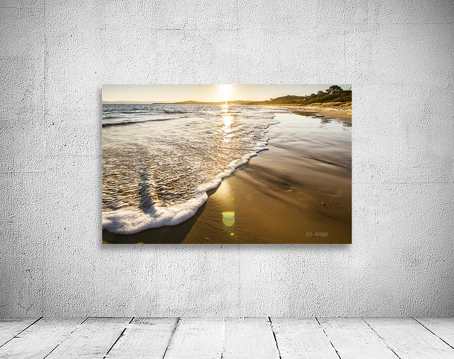 Sun surf and waves Wall Preview