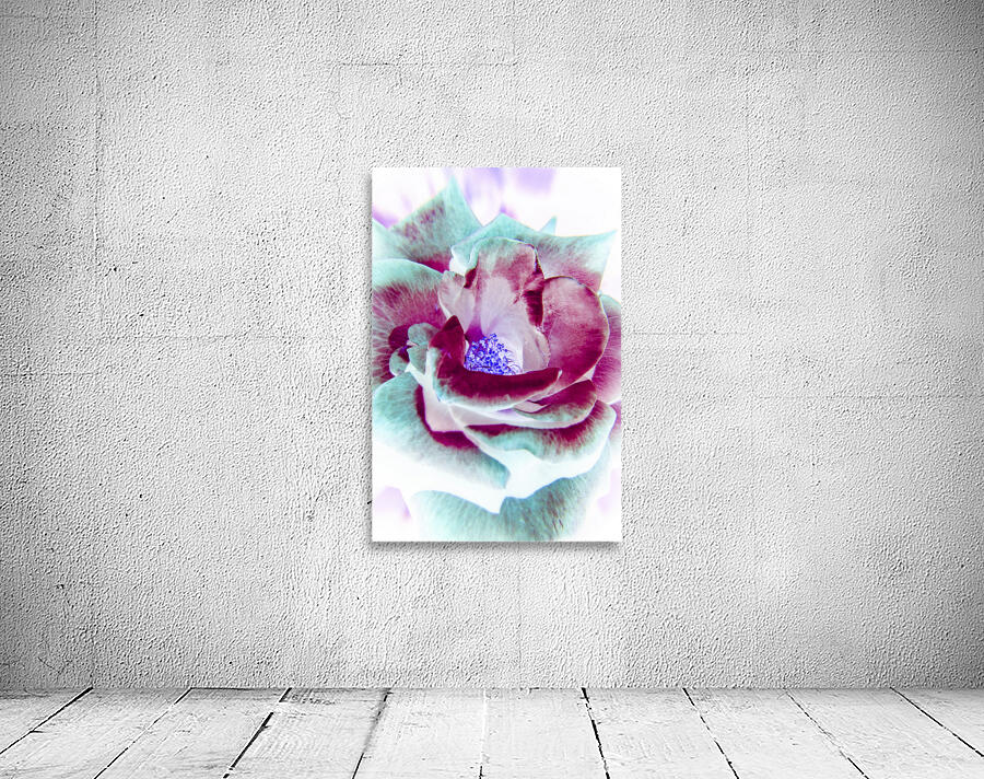 Wild exotics Wall Preview