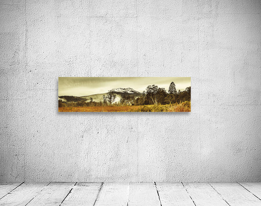 Ice covered mountain panorama in Tasmania Wall Preview