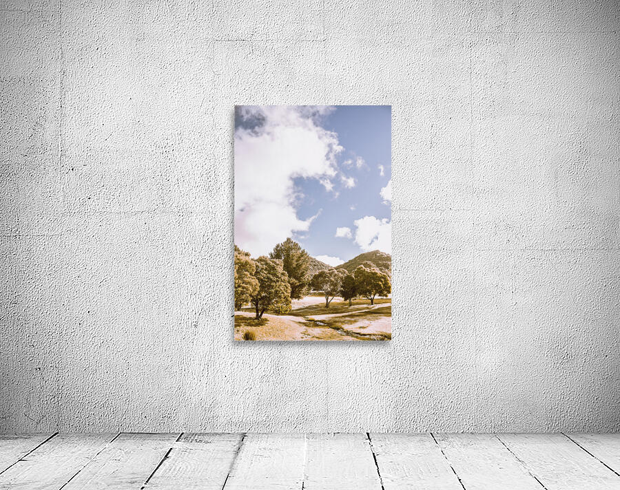 Scenically simplistic Wall Preview