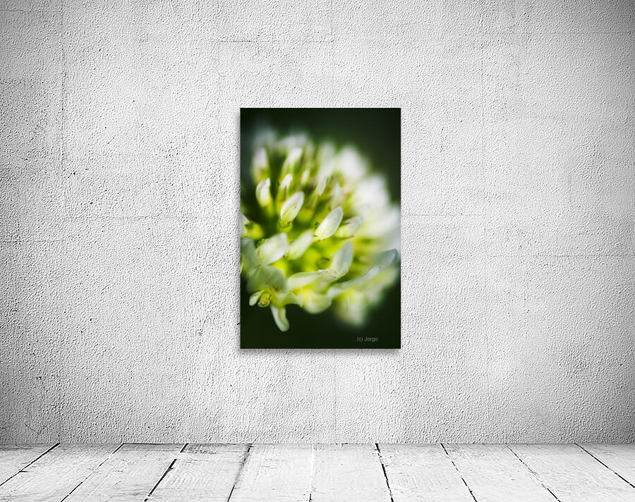 Nature Details Wall Preview