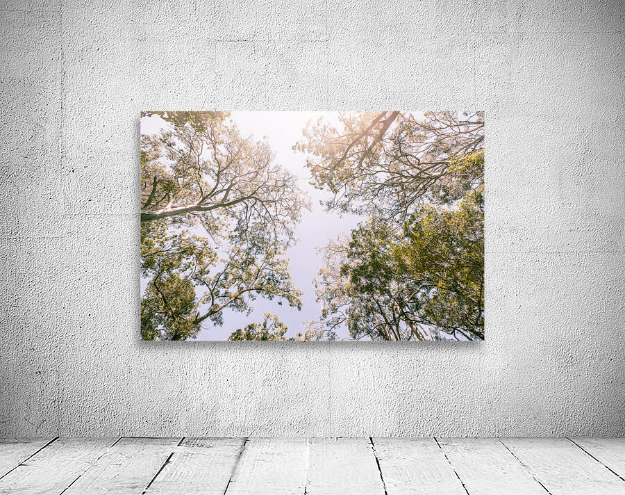 In Springnificant Wall Preview