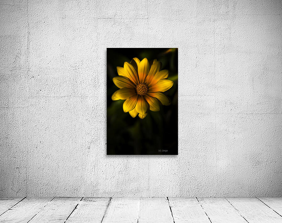 Beginning Of Spring In Flower Wall Preview