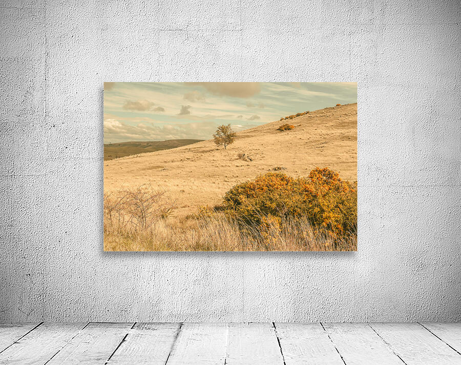 Country colours Wall Preview