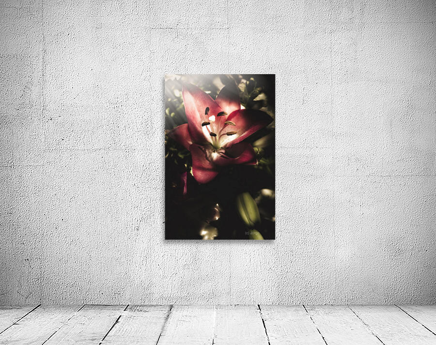 Of love and light Wall Preview