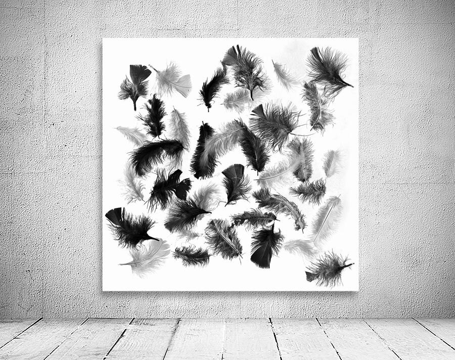 Flock in feather Wall Preview