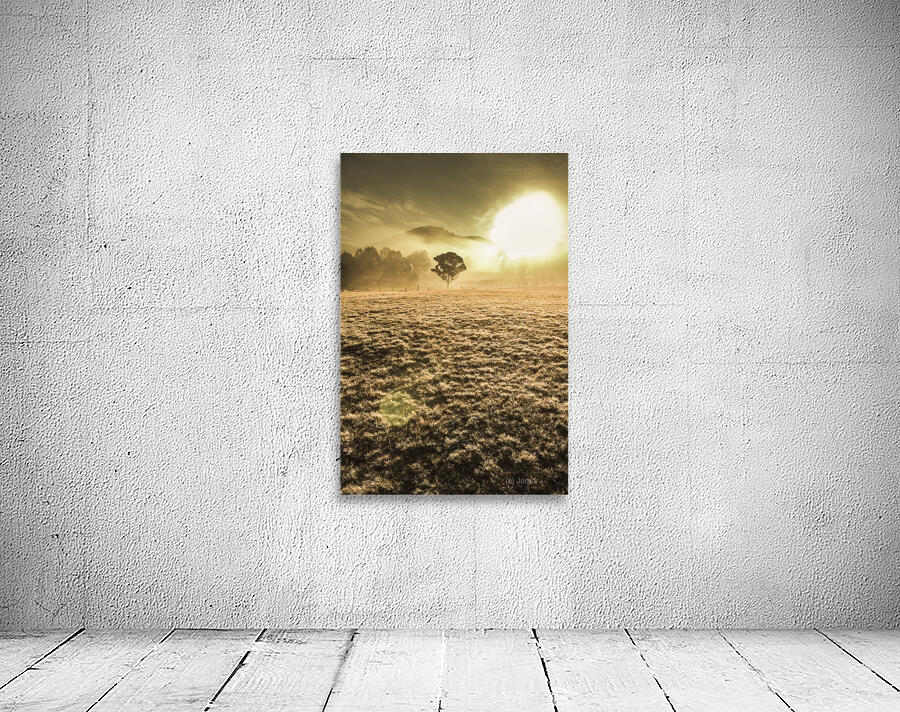 Plain morning Wall Preview