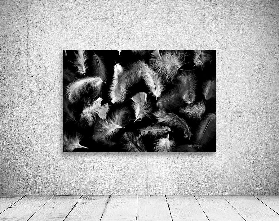 Motions Wall Preview