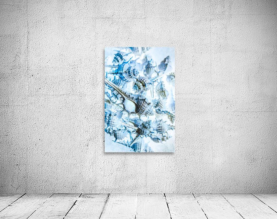 Creative seas Wall Preview