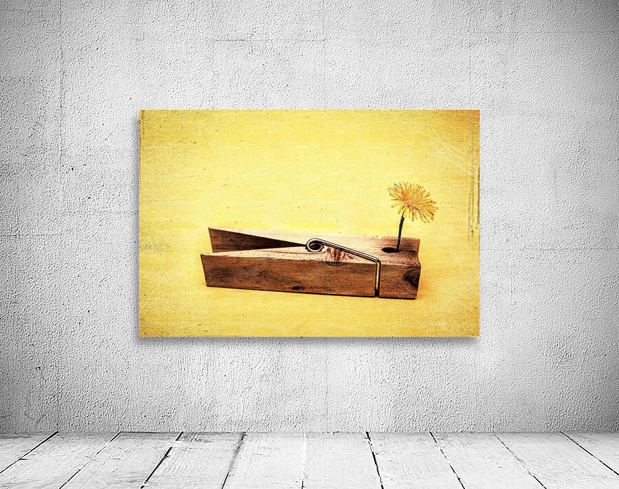 Clothespins and dandelions Wall Preview