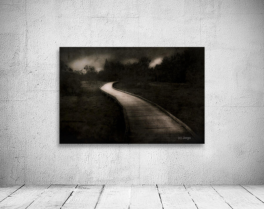 Path To The Unknown Wall Preview