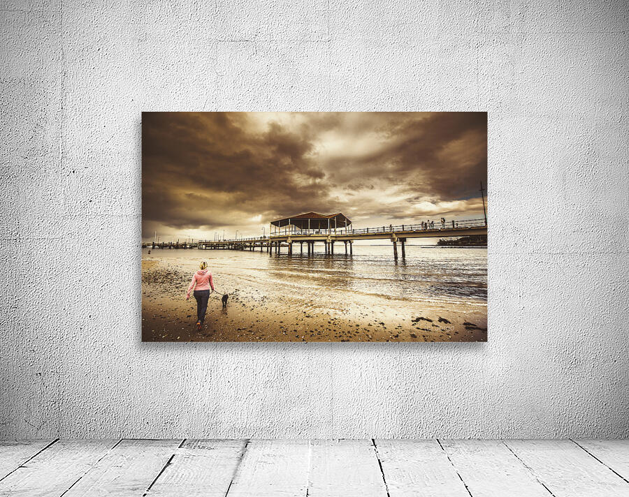 Woman walking dog on stormy beach Wall Preview
