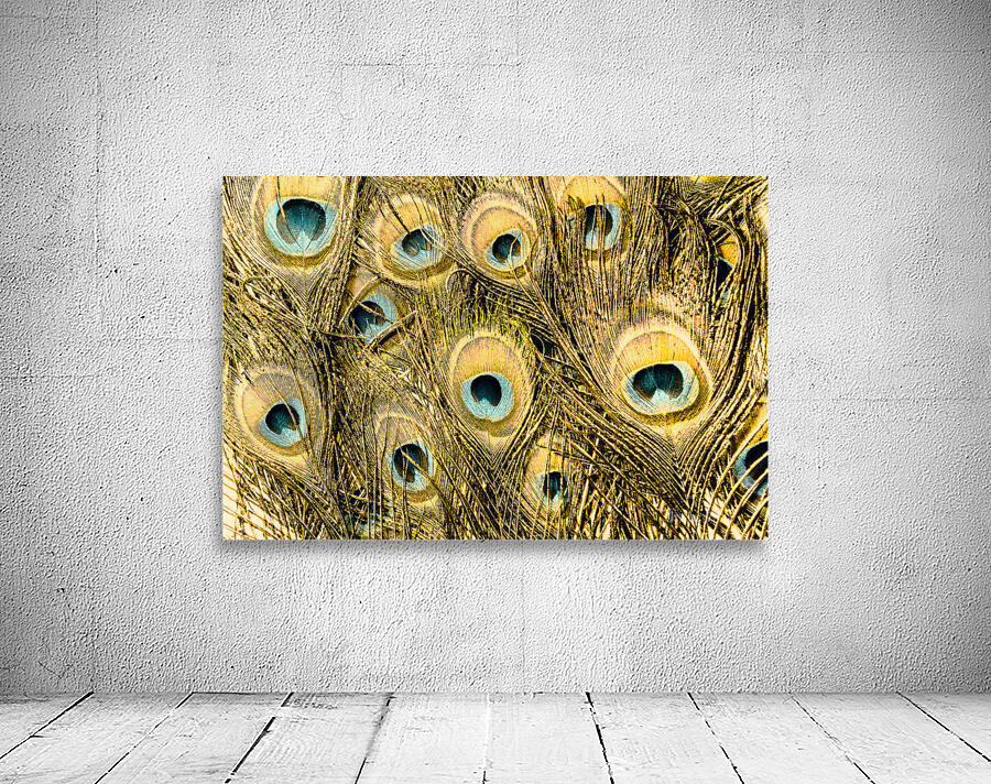 Spot colors Wall Preview