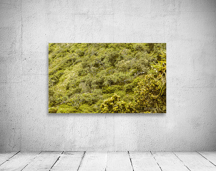 Forest footbridge Wall Preview