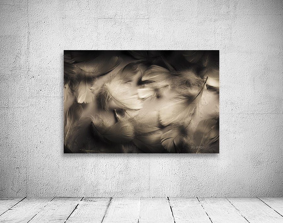 Soft contrasts Wall Preview