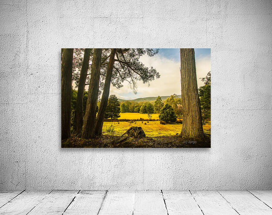 Vibrant autumn hillside Wall Preview