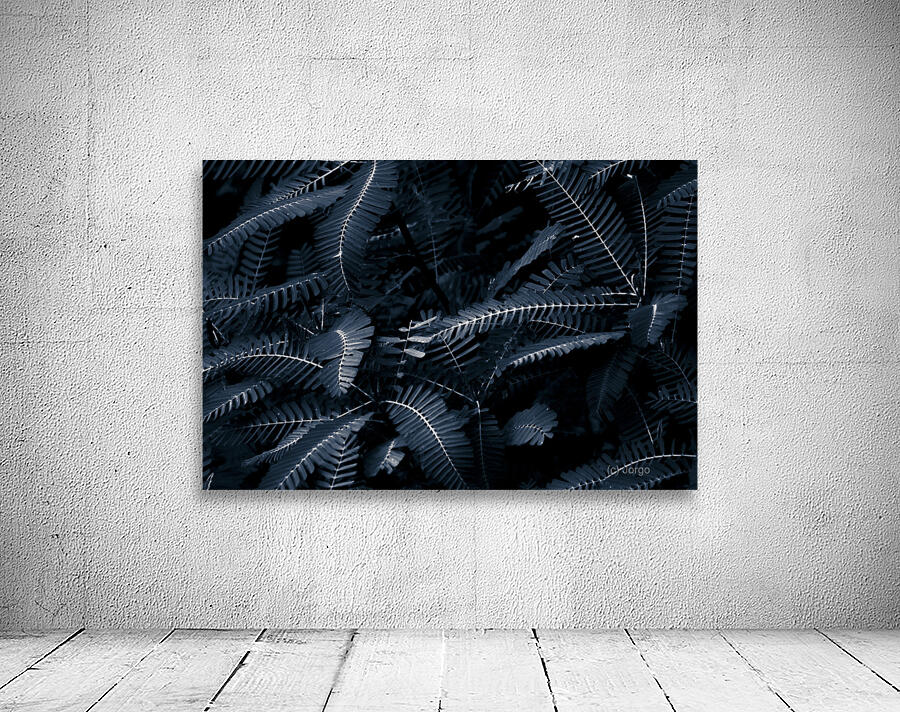 Branched tranquility Wall Preview