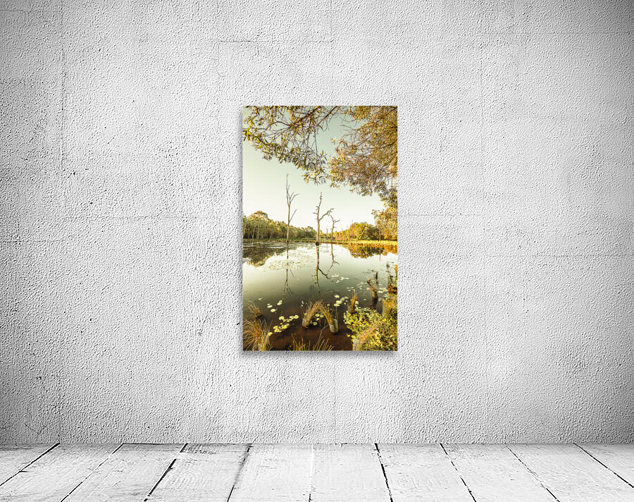 Still lake afternoon  Wall Preview