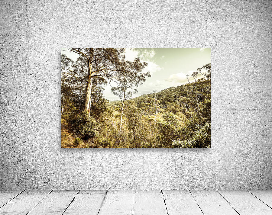 Bush views and lookouts Wall Preview