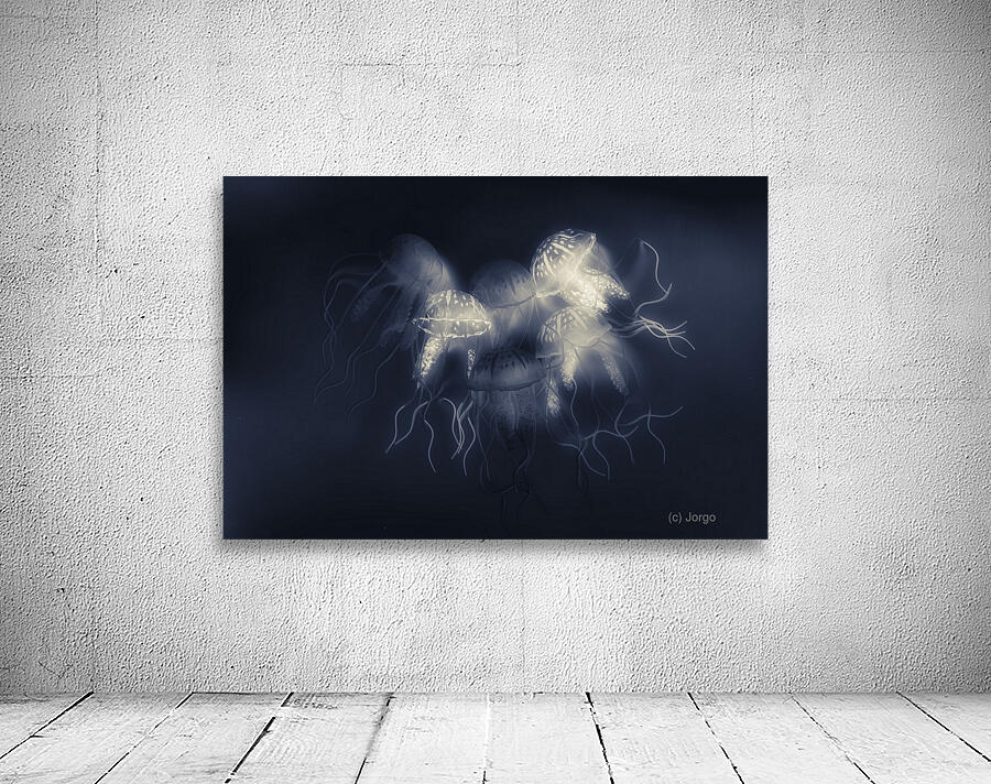 Medusas light Wall Preview