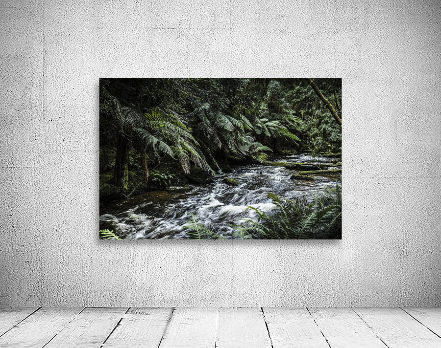 Wild rivers  Wall Preview