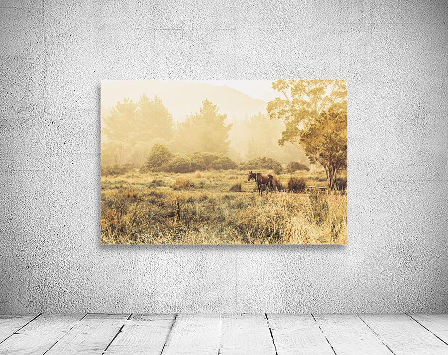 Stallion homestead Wall Preview