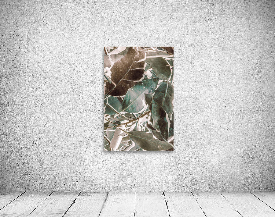 De Composition Wall Preview