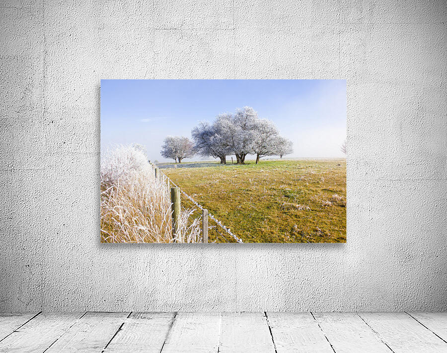 Fine art winter scene Wall Preview