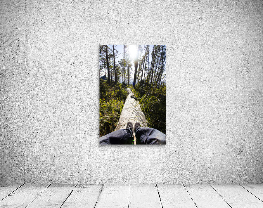 Explore tasmania Wall Preview