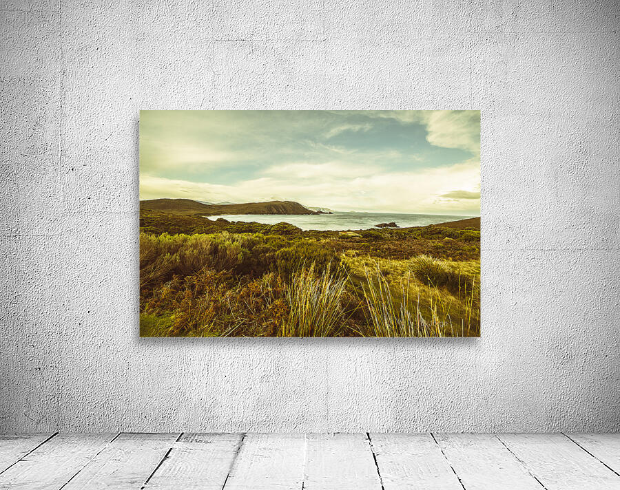 Lighthouse Bay Beach Bruny Island Wall Preview