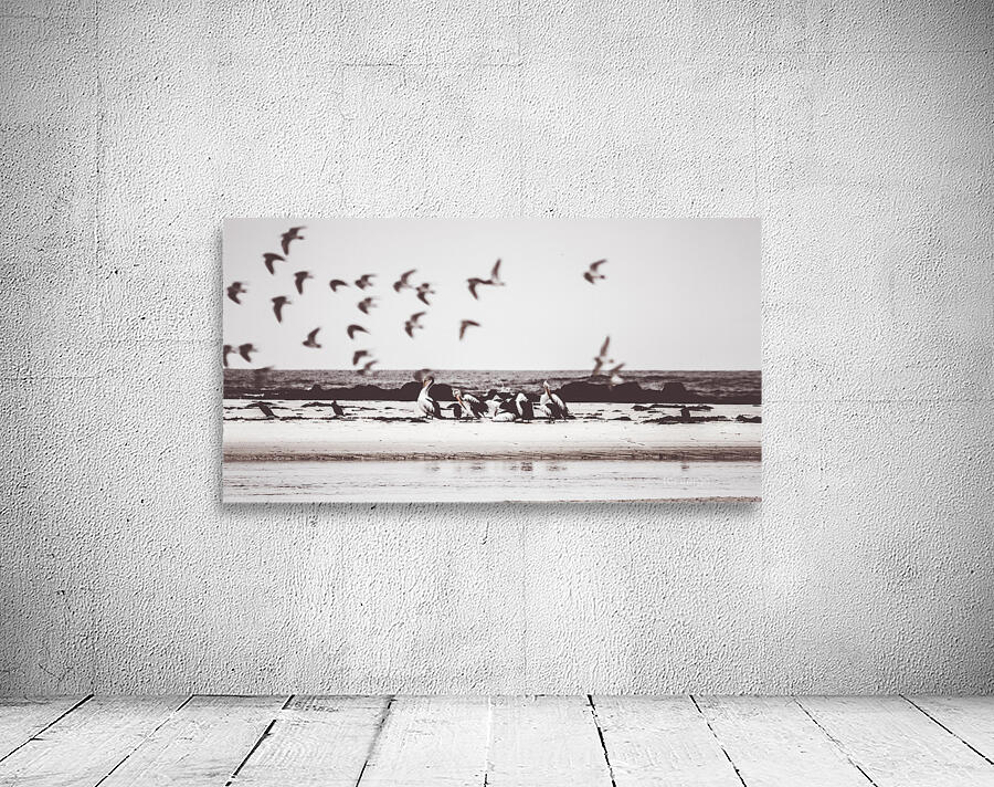 Bay of birds Wall Preview