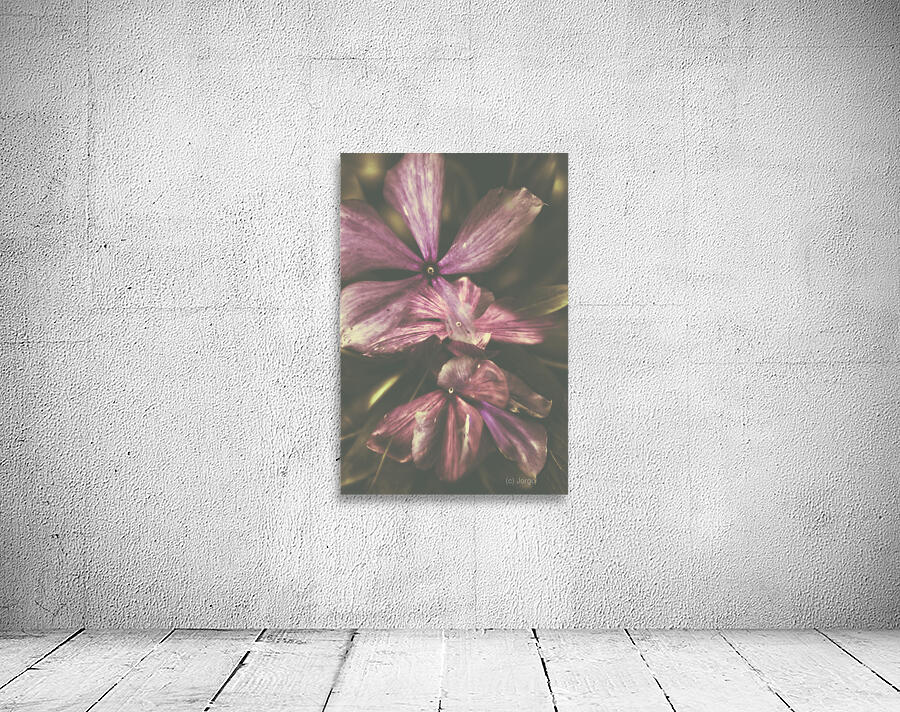 Flow er Wall Preview