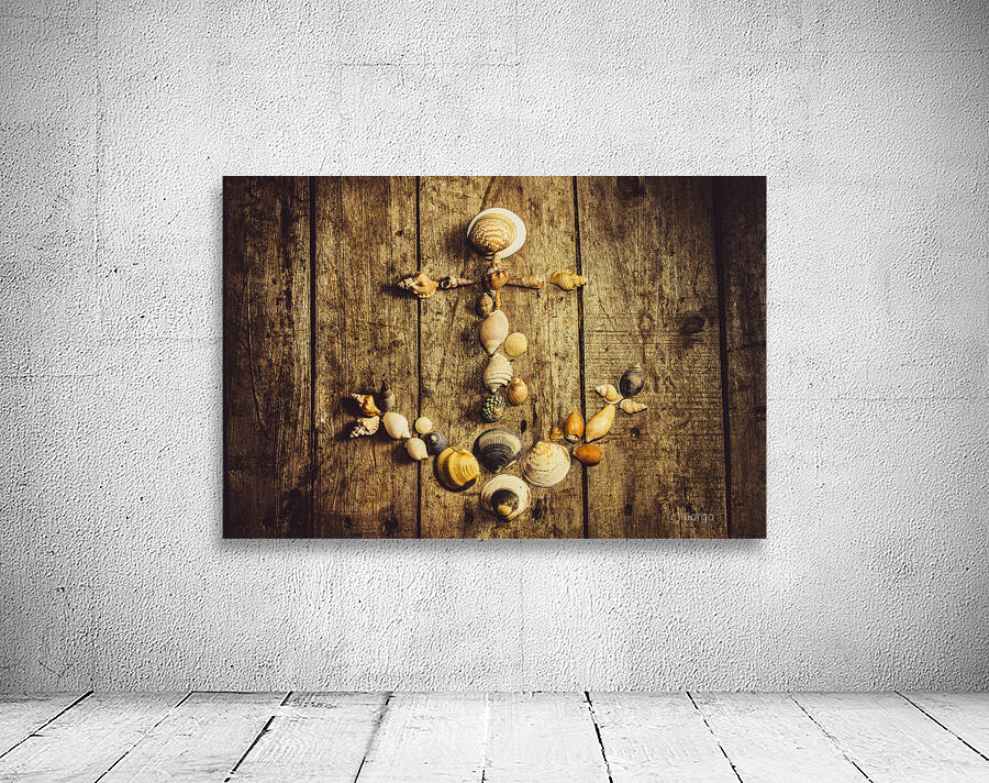 Shell n anchor Wall Preview