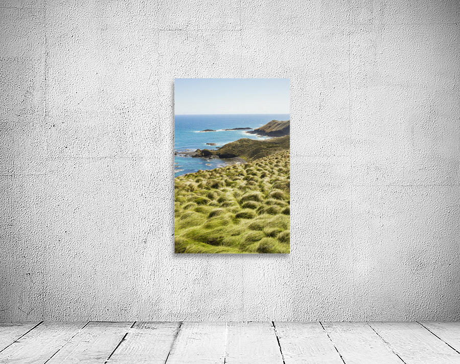 Vibrant cape seascape Wall Preview