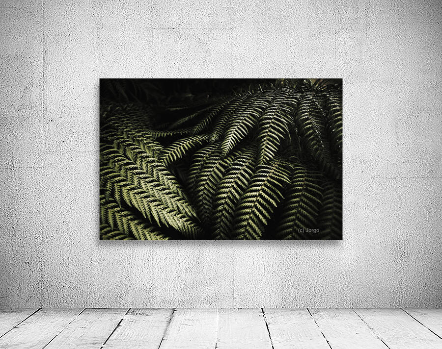 The exotic dark jungle Wall Preview