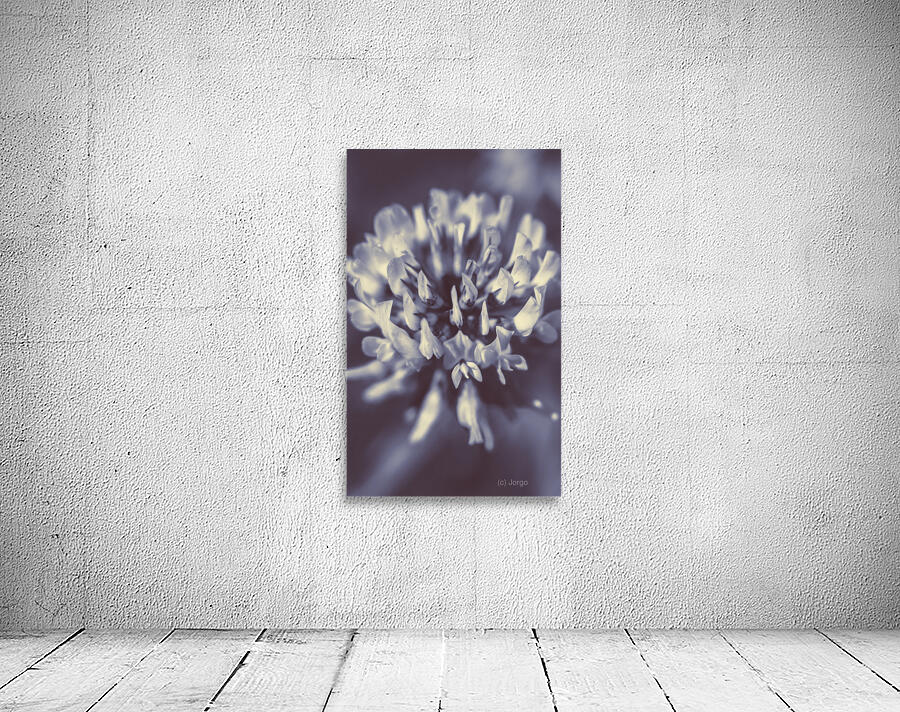 Wild beauty Wall Preview