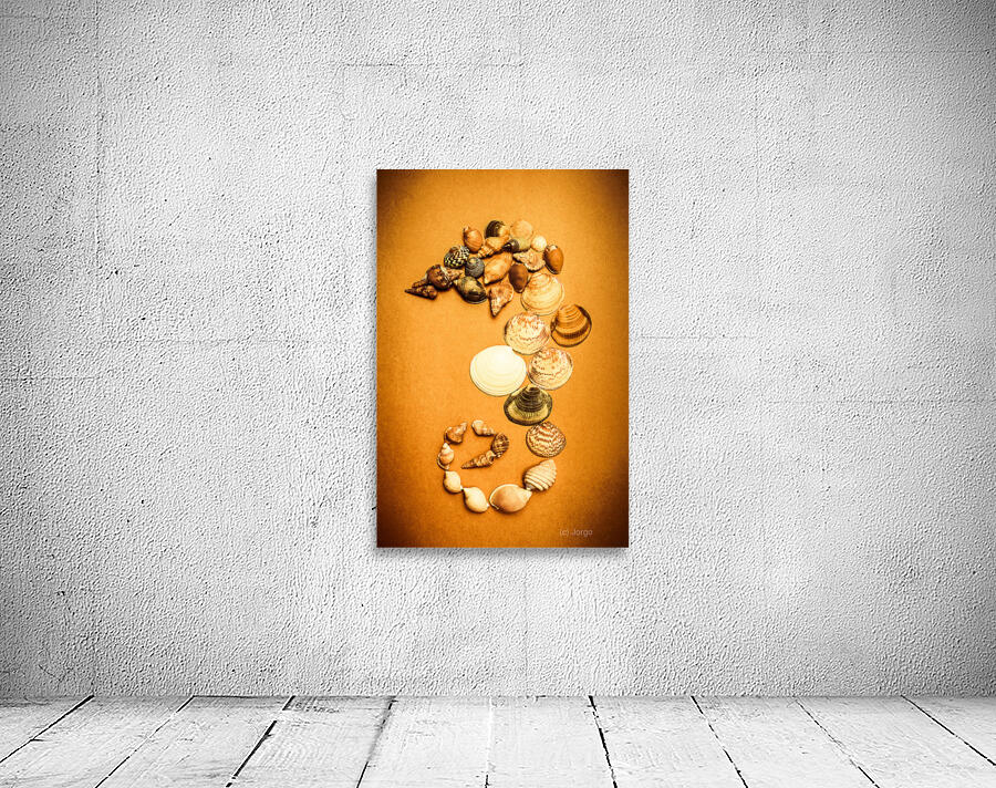 Marine Seashell Seahorse Design Wall Preview