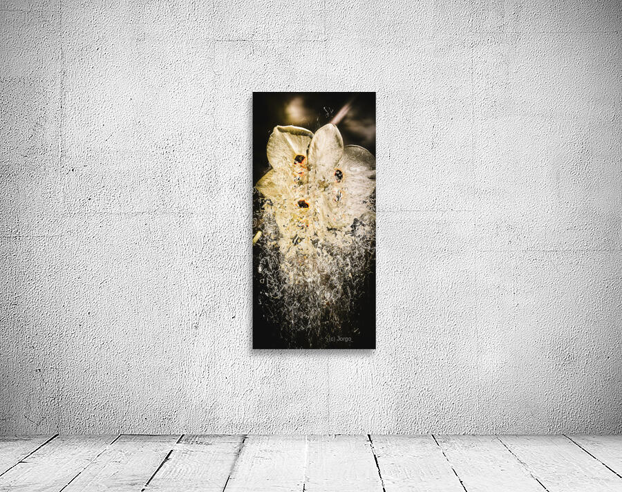 Fractal flower Wall Preview