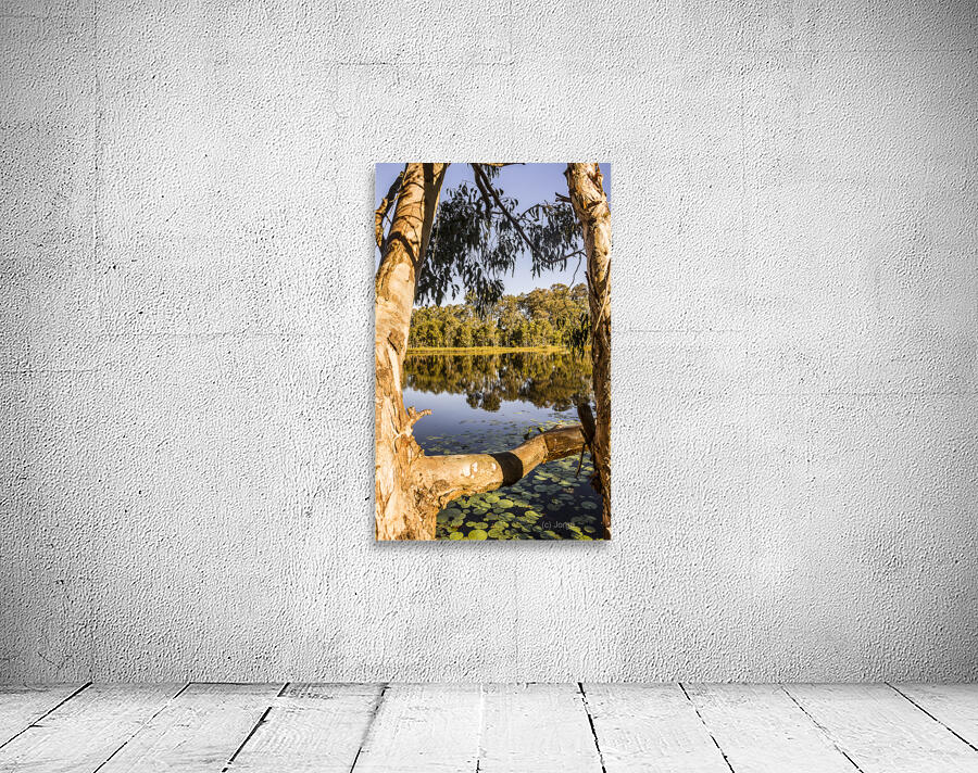 Framing stillness Wall Preview